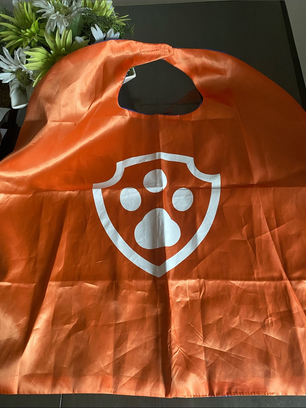 New🌈 Paw Patrol Zuma Mask & Cape Cosplay Dressup Halloween Costume - Picture 3 of 6